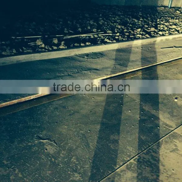 New Design Electronic Digital Truck Standing Weighing Scale photo-2