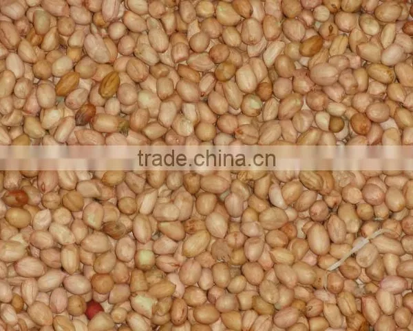 GROUND NUT KERNEL