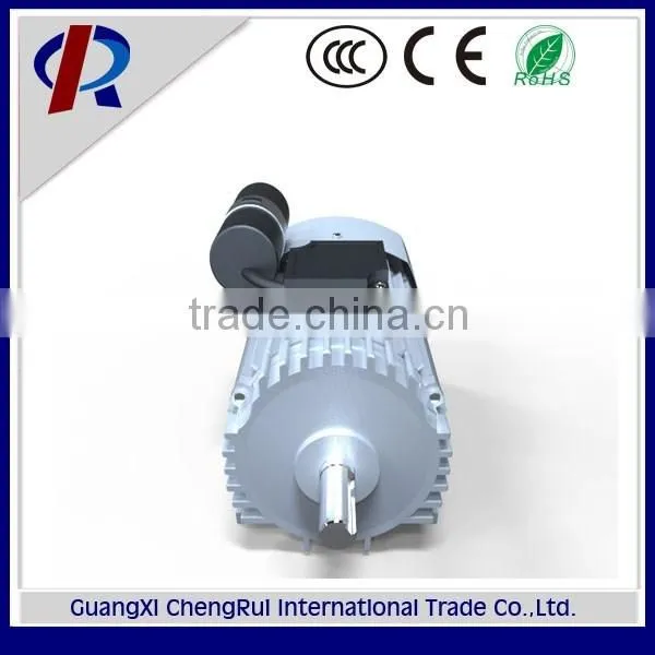 Cast Iron Housing AC Single Phase Asynchronous Electric Induction Motor