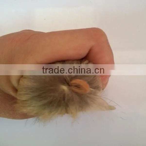 Raccoon Fur Pom Poms For Hat / Garment / Key Chain/Shoes photo-5