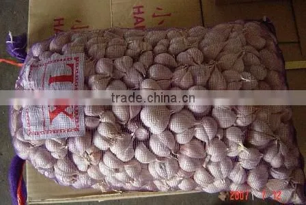 Fresh Purple Garlic in China