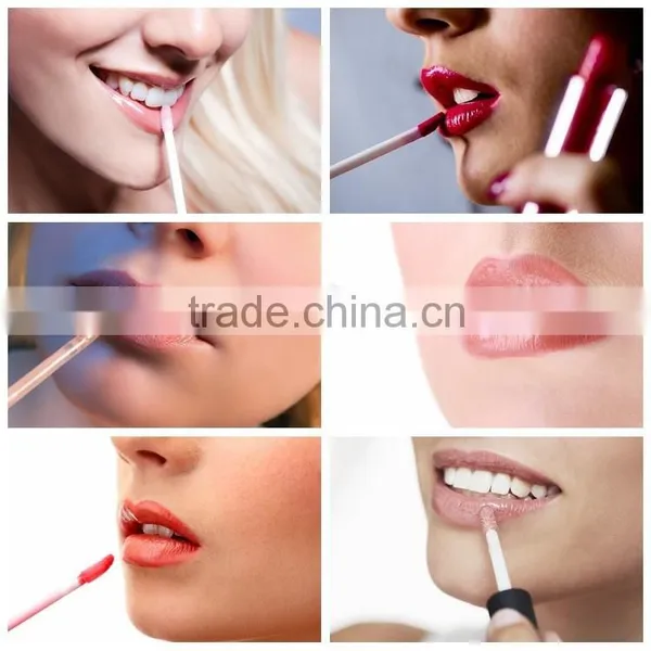 Private Label Cosmetics Makeup 12 Long Lasting Lip Gloss Matte Make Your Own Lipstick Quality Choice photo-2