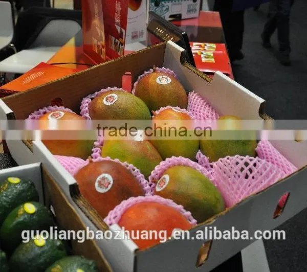Factory Directly Food Grade Polythene Expanded Foam Vegetable Packaging Net photo-5