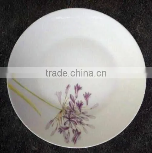 Porcelain Ceramic Dishes&Plates Bulk White Ceramic Dinner Plates photo-4