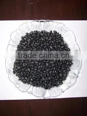 Small Black Bean Chinese Origin photo-2