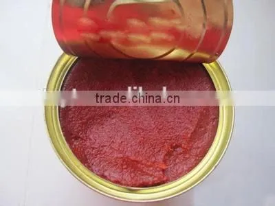Wholesale Double Concentrated Canned Tin Gino 28-30% Tomato Paste Pasta Factory Supplier Exporter photo-4