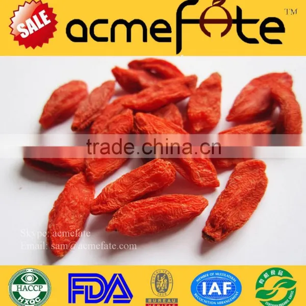 Goji Berries Dried Fruit Conventional Goji Berries and Organic Goji Berries for Sale