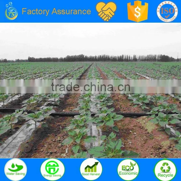 TS Irrigation Build Waterring &irrigation Function Infarm Irrigation System