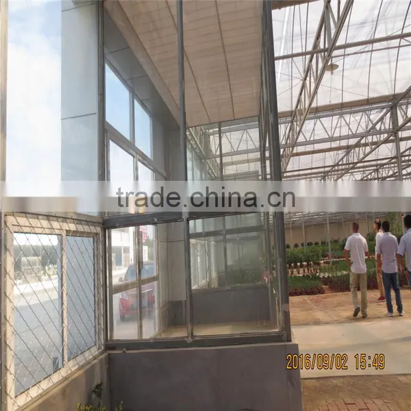 Plastic Film Horticultural Green House for Flower and Vegetable photo-5