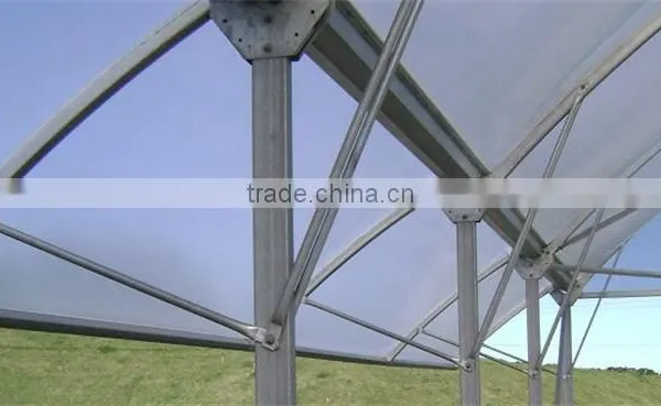 Multi-Span Greenhouse With Roll Up Motor For Ventilation Used For Animals Growing photo-4