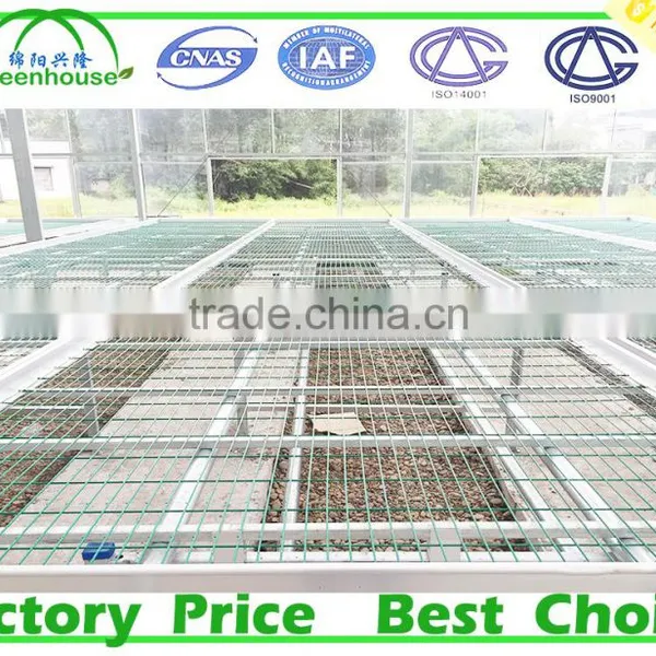 Wind Span Glass Greenhouse photo-4