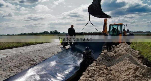 Hdpe Geomembrane photo-4