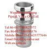 ss Hose Coupling