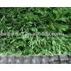 Synthetic Lawn BN40213120