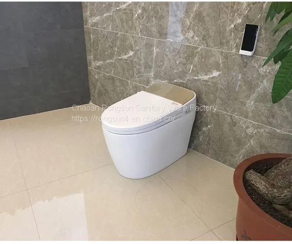 China Sanitary Ware Portable Bathroom Modern New Design Gold Intelligent Toilet Seat Cover With All Self-clean System photo-4