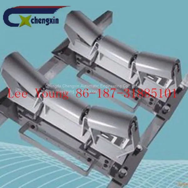 China Conveyor Belt Weighing Scale With High Accuracy photo-4