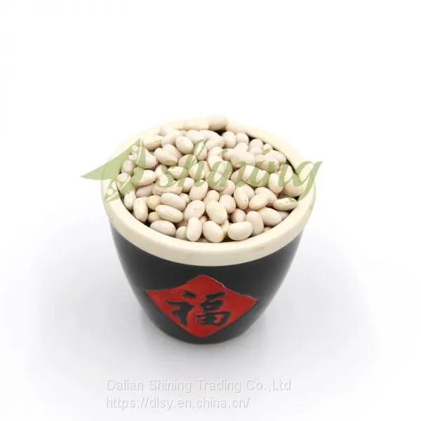 All Size Japanese White Kidney Beans photo-3