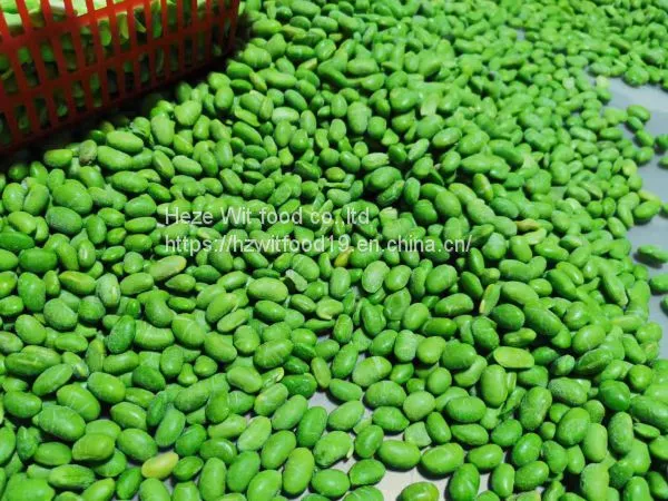 Frozen Soybeans Pods and Kernels photo-4