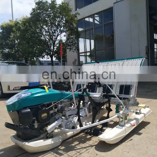 6 Row Hand Walking Type Manual Rice Seedling Paddy Transplanter photo-4
