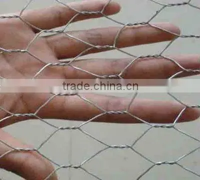 Electro and Hot-dip Galvanized Chicken Mesh, Hexagonal Twisted Mesh photo-2