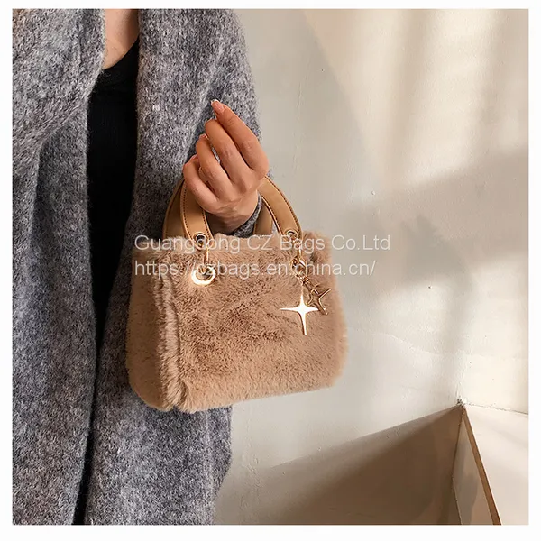 Winter Plush Bag Women's Bag 2021 New Fashion Messenger Bag Foreign Style Fashion Handbag Diana Bag photo-4