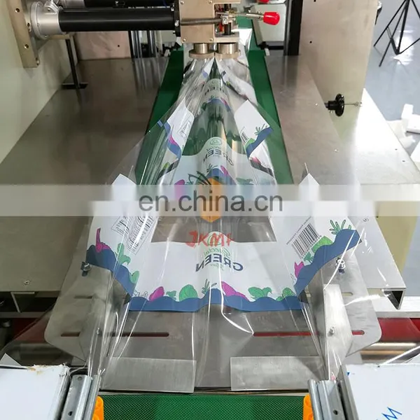 Factory Direct Selling Down Pillow Packing Machine Cabbage Pillow Packing Machine Servo Control Easy to Operate photo-3