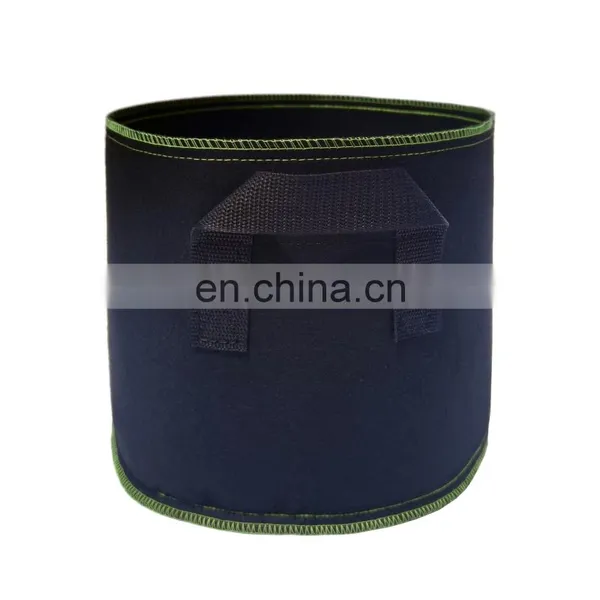 Amazon Free Sample Potato Mushroom Plant Growing Felt Grow Bags photo-5