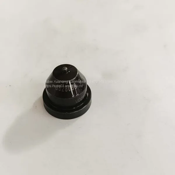 3028068 photo-2