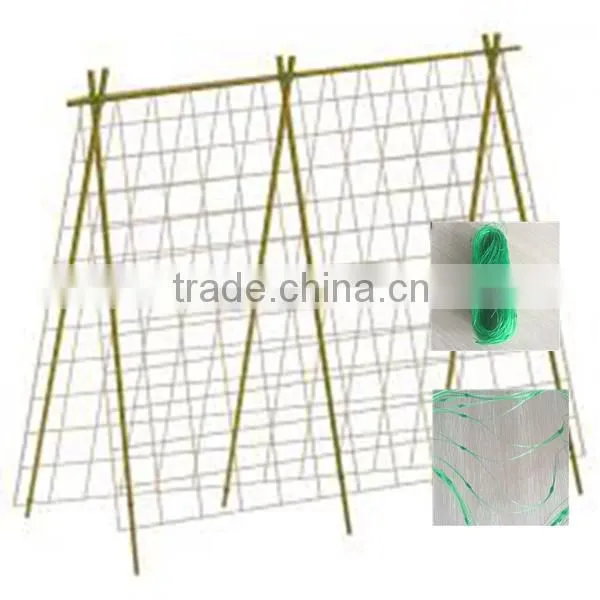 Trellis for Climbing Plants photo-6