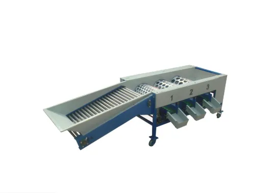 Potato Sorting Machine Fruit and Vegetable Grading Machine3 photo-3