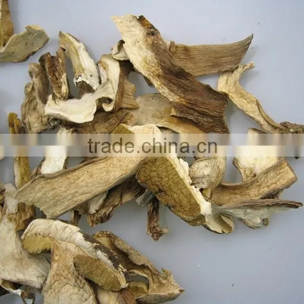 Dried Boletus Edulis Mushroom Seller photo-4