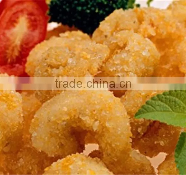 Panko Bread Crumbs Extrusion Maker photo-4