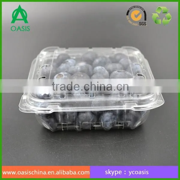 125g Strawberries Punnet Boxes photo-4