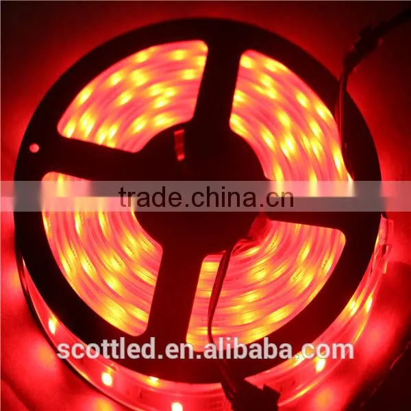 48leds/m 5050 SMD Single Color LED Flexible Strip, DC12V/24V Input, 5m/roll, Waterproof IP20/IP65/IP67 photo-2