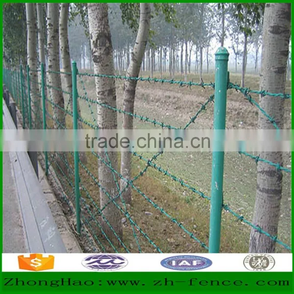 Hot Dipped Galvanized or PVC Coated High Quality Barbed Wire Fence photo-6