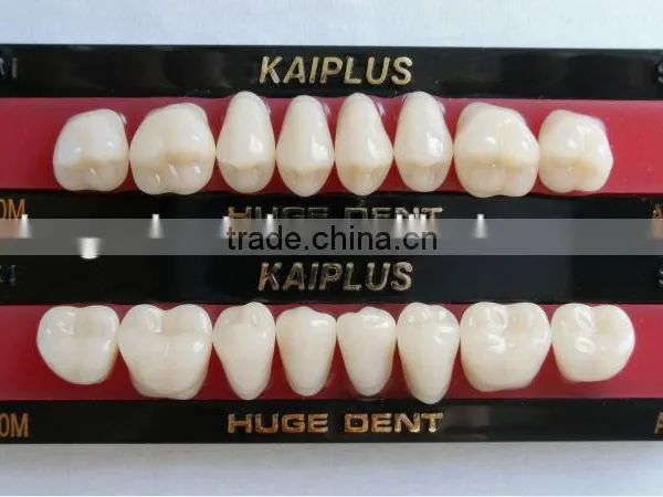 Four layers composite material kaiplus Synthetic polymer teeth