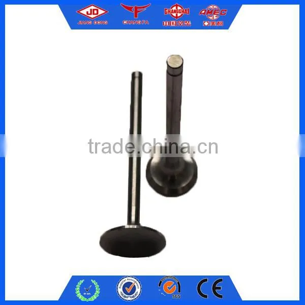 Changzhou Diesel Parts S195 Engine Valves photo-3