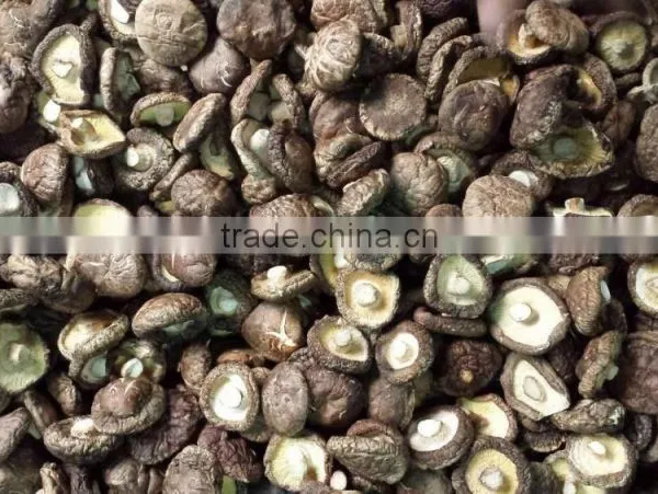 Shiitake Mushroom Slice photo-4