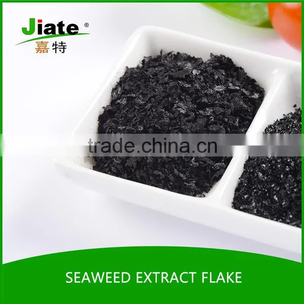 Seaweed Extract Organic Powder /flake Fertilizer photo-6