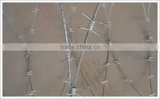 Barbed Wire photo-2