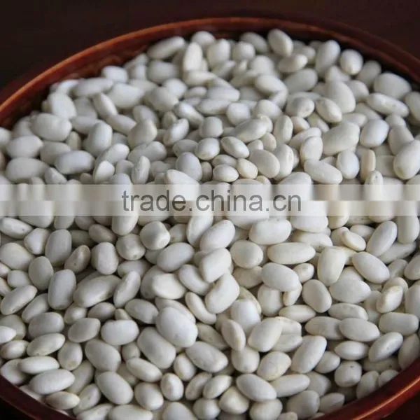 White Kidney Beans, Crop 2015 Crop photo-2