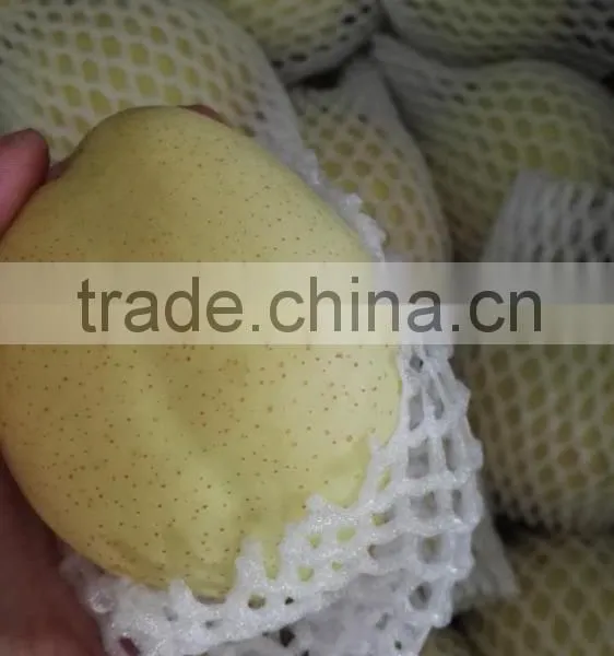 New Crop Thailand Fruit Farm ya Pear photo-4