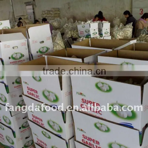 CHINESE WHITE GARLIC PRICE