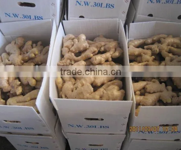 2014fresh Air Dried Ginger photo-5