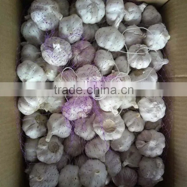 2016 New Crop Factory Supplier Normal White And Pure White Garlic for Indonesia, Malaysia, Thailand From China Factory photo-3