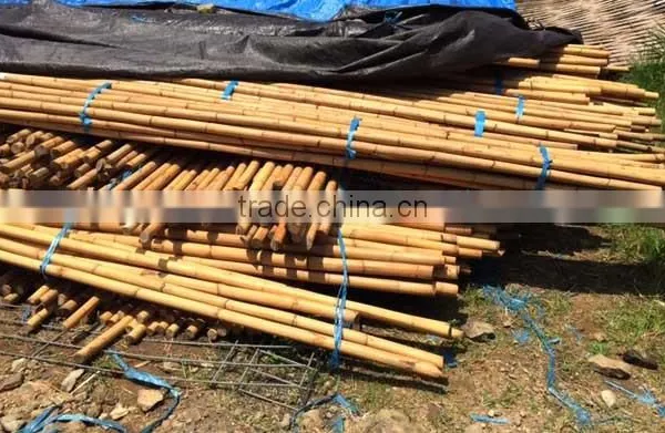 MANAU CANE RATTAN photo-2