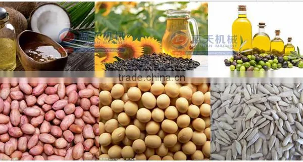 Home Olive Oil Cold Press Machine From Lantian Made in China in Hot-selling photo-2