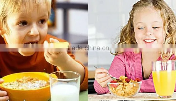 China Automatic Toasted Extrusion Breakfast Cereals Corn Flake Making Machine photo-5