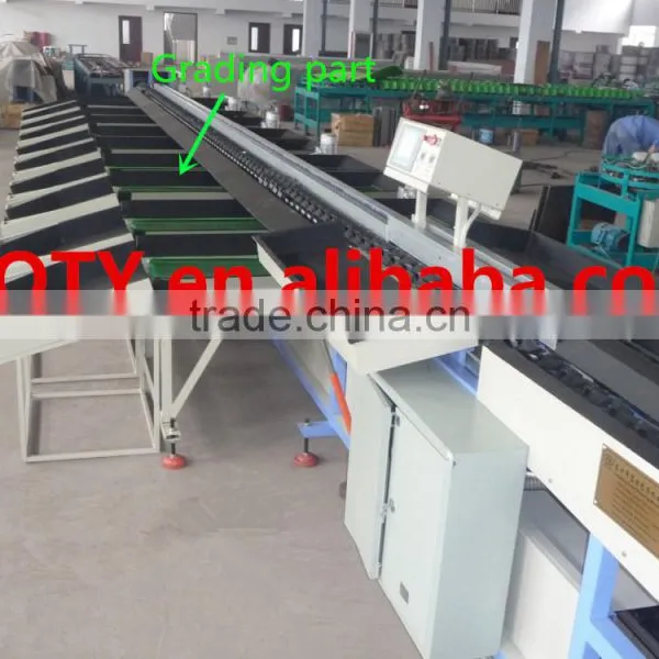 Fruit Washing Waxing Machine/vegetable Sorting Machine photo-2