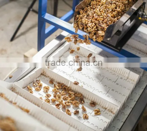 Walnut Kernel Multiple Layer Stainless Steel Conveyor Dryer photo-4